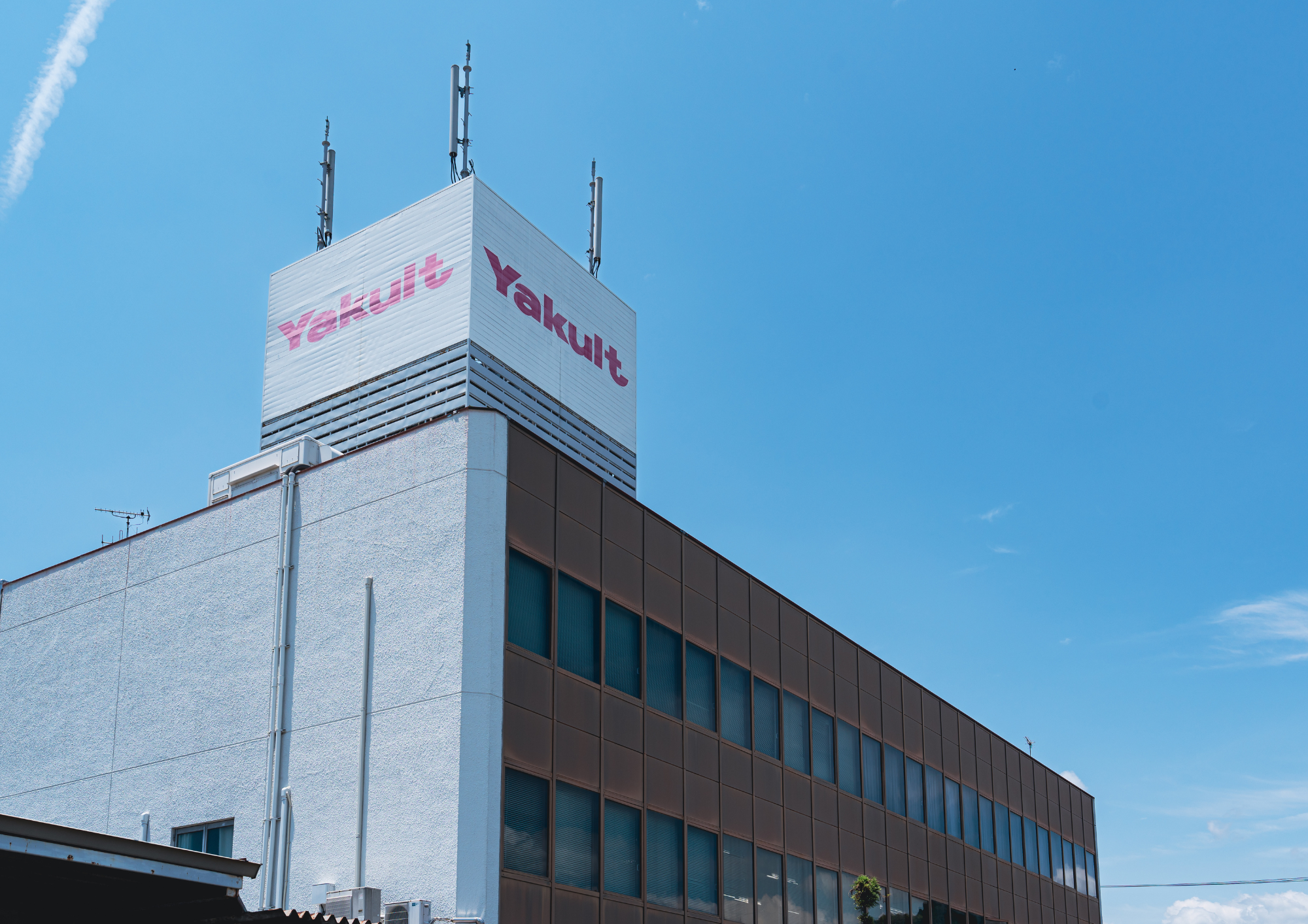 中央静岡ヤクルト販売株式会社