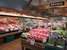 株式会社タカラ・エムシー