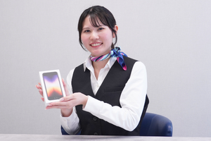 株式会社マーキュリー