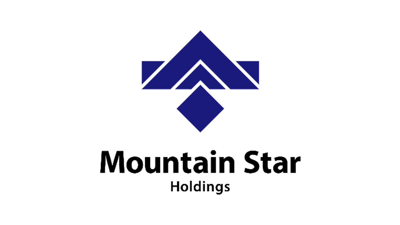 Mountain Star Holdings株式会社