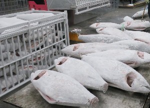 株式会社SIC  LOGITEC