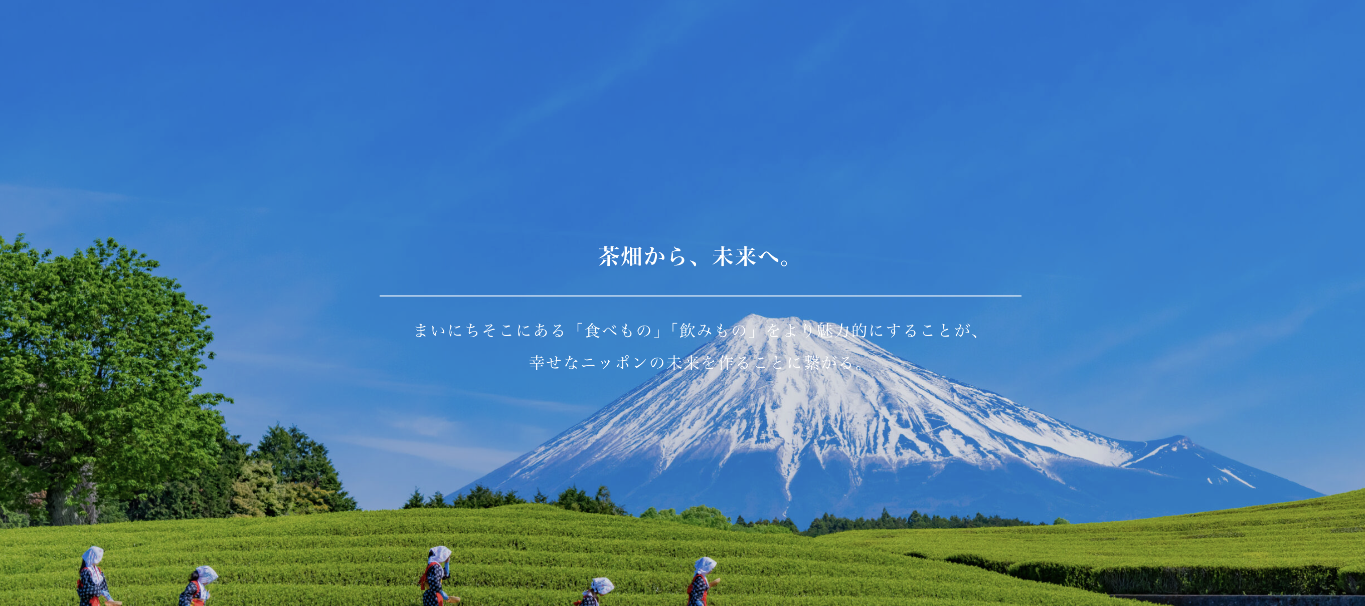 有限会社丸新柴本製茶