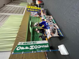 株式会社ソルーナ