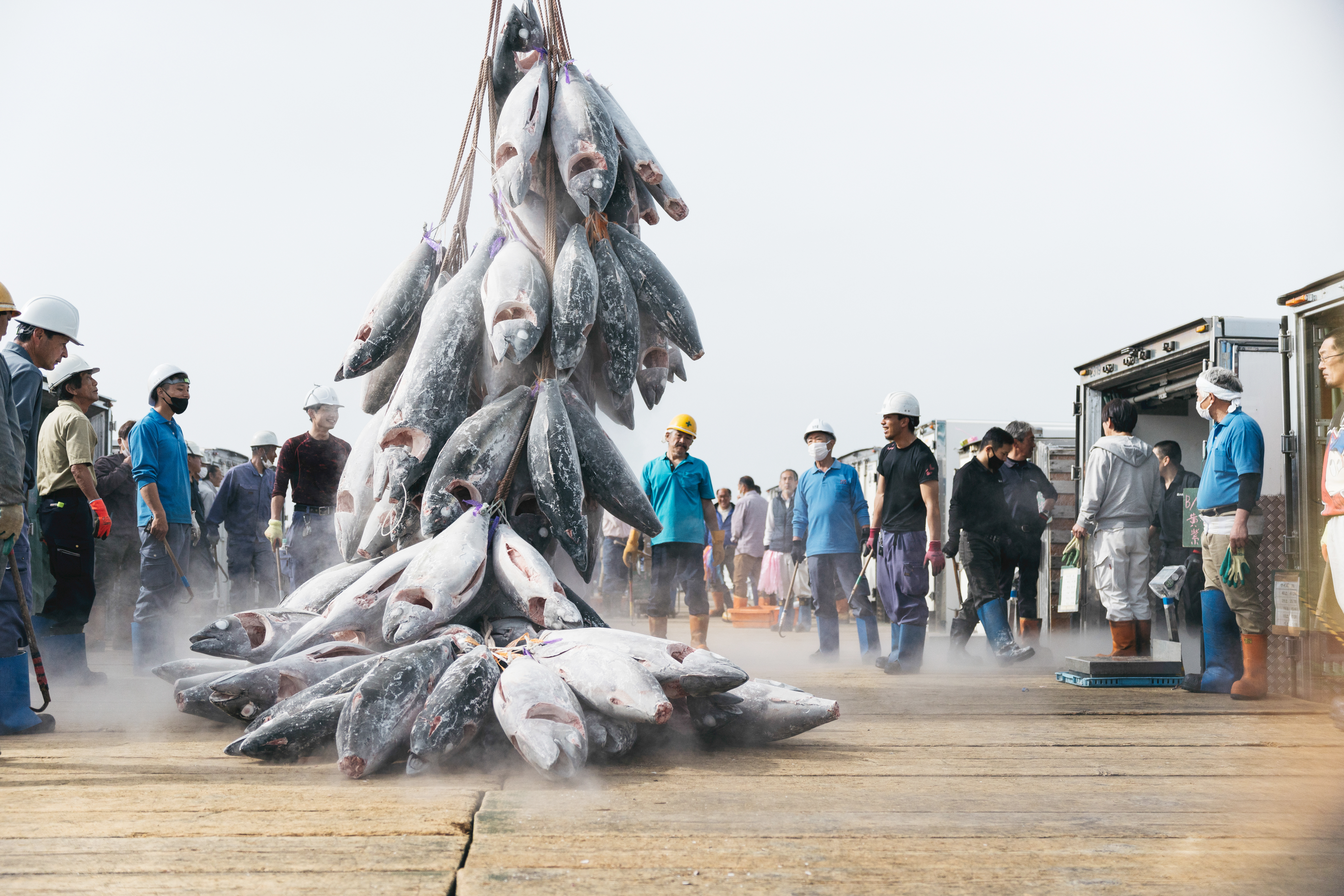 株式会社マルイリフードサプライ