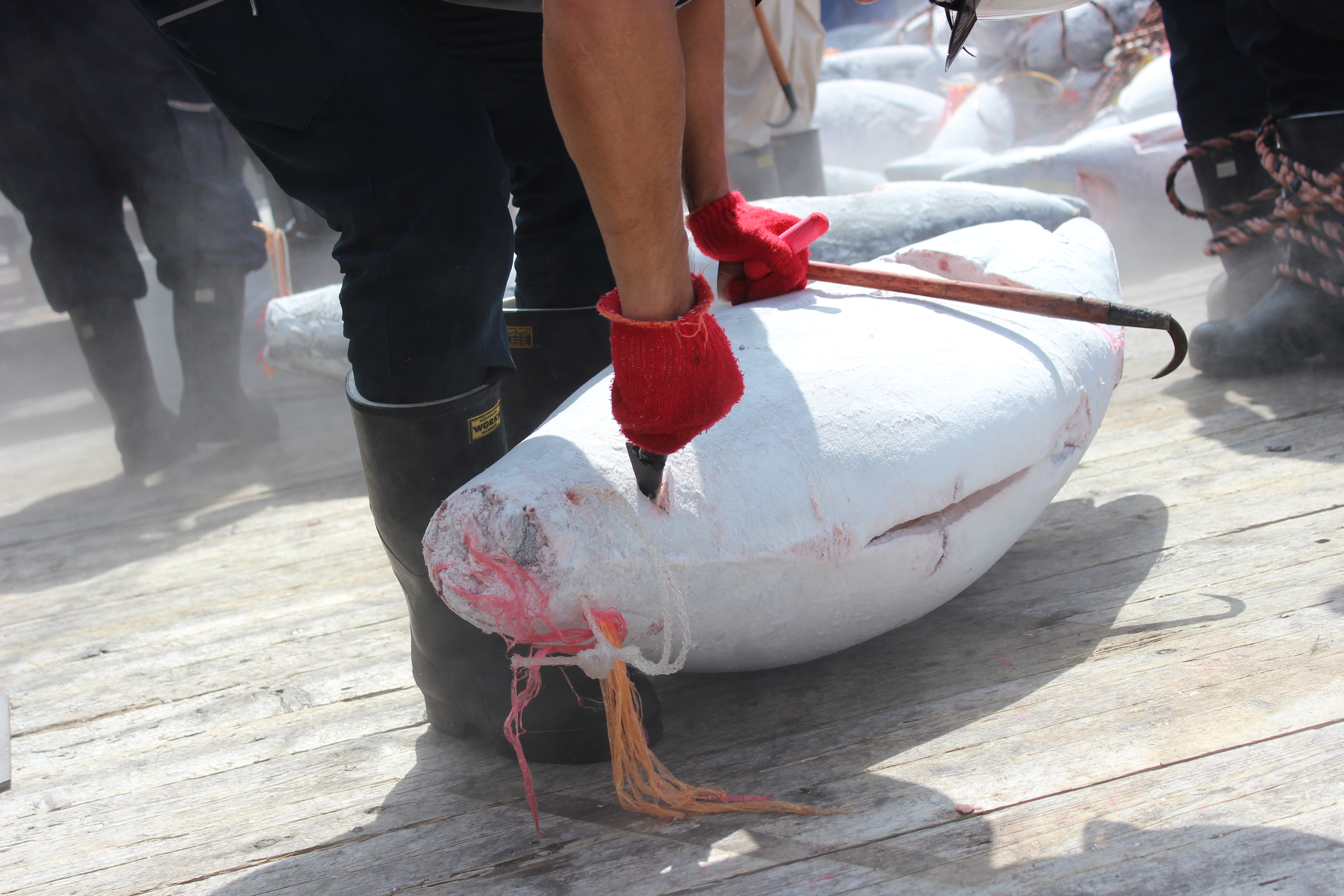 八洲水産株式会社